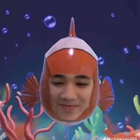 Hệ thống