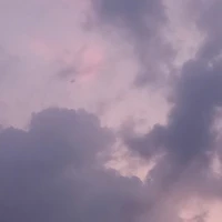 Cá Bống 🐬