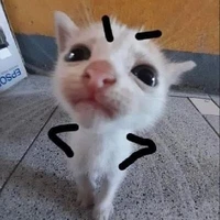Anie Ezreal "Tác giả"