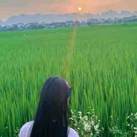 Tg của floppp