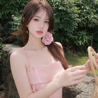 Lê Cẩm Tú