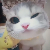 Tác giả này nhạt lắm 
