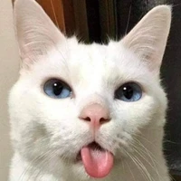 mồn lèo