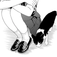 Someone