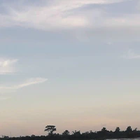 T/g thiếu muối