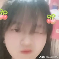 Tongtai của các baoboi