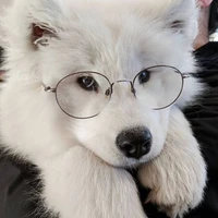 Trần Minh Hiếu (Samoyed)