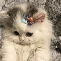(Lisa) trà xanh😊