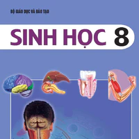 Bùi Văn Sinh