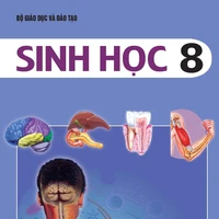 Bùi Văn Sinh