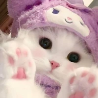 coan tác giả