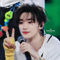 Đinh Trình Hâm