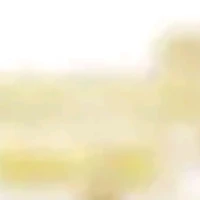 all (trừ ai thì trừ)