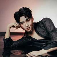 Huỳnh Hoàng Hùng(Gemini)