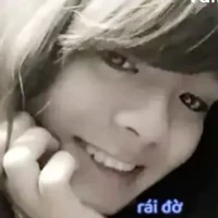 T/giả