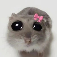 all 