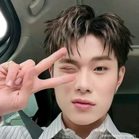 dương domic