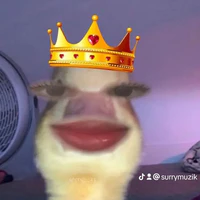 T/G