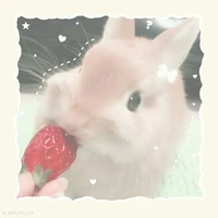 Hệ thống 012 (Lily)