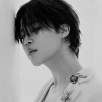 Park Jimin - Minie [Y]
