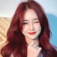 Doãn Linh Mai Chi