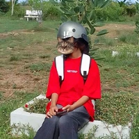 Tgia được xuyên không...