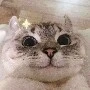 trùm cuối