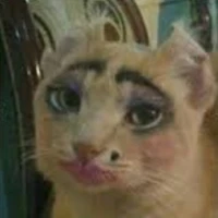 Hệ thống mồm lèo