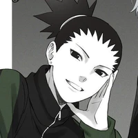 Nara Shikadai