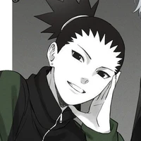 Nara Shikadai