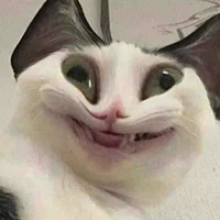 nương nương là ai thì các khanh tự biết