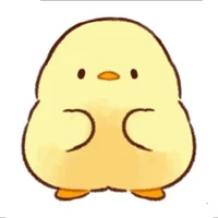 Chip
