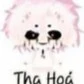 hiha tha hóa