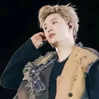 TRẦN ĐĂNG DƯƠNG/ DƯƠNG DOMIC