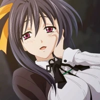 akeno(Kamen rider diend)
