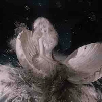 Mẹ Của Đức Duy