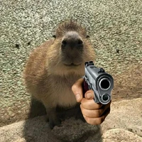 t/g