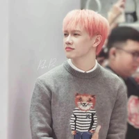 nguyễn thái sơn [@nst]