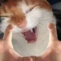 Tác