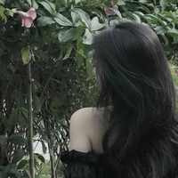 Hệ thống 159