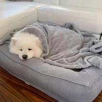 Tác giả đáng yêu 