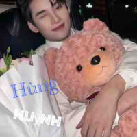 Huỳnh Hoàng Hùng-Gemini