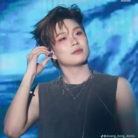dương domic