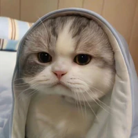 Tác Giả