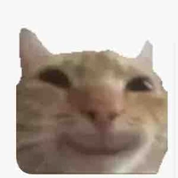 T/g lỏ