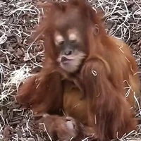 Bắp nè chùiiii🌽