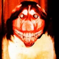 smiel dog