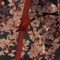 NVP