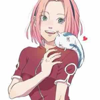 Sakura 