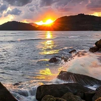 tác giả🍇🇻🇳